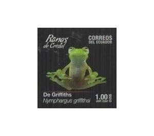Ecuador Cochran Frog (Nymphargus griffithsi) - South America / Ecuador 2019 - 1
