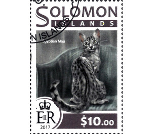 Egyptian Mau - Melanesia / Solomon Islands 2017 - 10