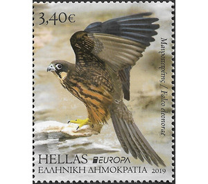 Eleonora's Falcon (Falco eleonorae) - Greece 2019 - 3.40