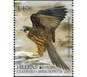 Eleonora's Falcon (Falco eleonorae) - Greece 2019 - 3.40