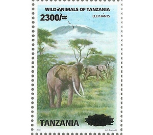 Elephants - East Africa / Tanzania 2020