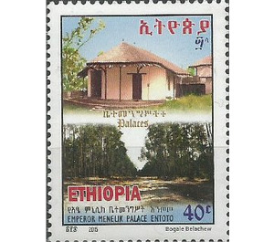 Emperor Menelik II Entoto Palace - East Africa / Ethiopia 2016 - 40