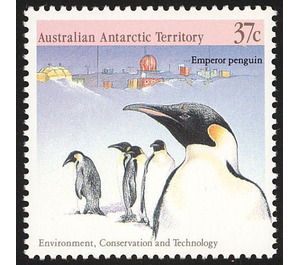 Emperor Penguin (Aptenodytes forsteri), Research Station - Australian Antarctic Territory 1988 - 37