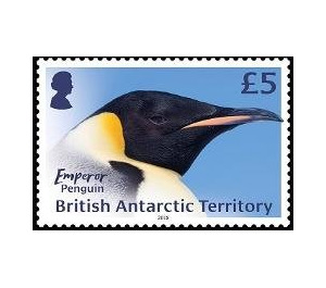 Emperor Penguin - British Antarctic Territory 2018 - 5