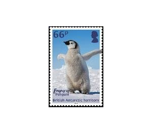 Emperor Penguin - British Antarctic Territory 2018 - 66