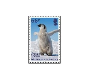 Emperor Penguin - British Antarctic Territory 2018 - 66