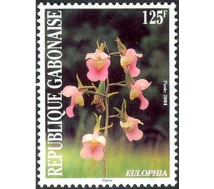 Eulophia - Central Africa / Gabon 2004 - 125