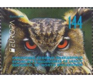 Eurasian Eagle-Owl (Bubo bubo) - Macedonia / North Macedonia 2021 - 144