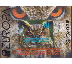 Eurasian Eagle-Owl (Bubo bubo) - Macedonia / North Macedonia 2021