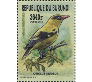 Eurasian Golden Oriole (Oriolus oriolus) - East Africa / Burundi 2016