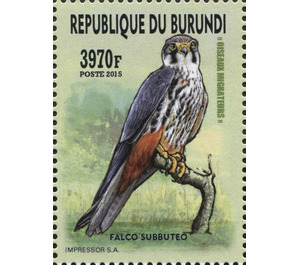 Eurasian Hobby (Falco subbuteo) - East Africa / Burundi 2016