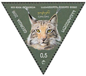 Eurasian lynx (Lynx lynx) - Georgia 2018 - 0.50