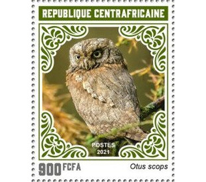 Eurasian Scops Owl (Otus scops) - Central Africa / Central African Republic 2021 - 900