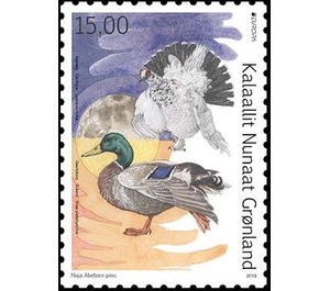 Europa 2019 - National Birds - Greenland 2019 - 15