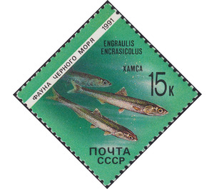 European Anchovy (Engraulis encrasicolus) - Russia / Soviet Union 1991 - 15