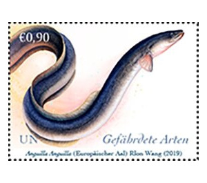 European Eel (Anguilla anguilla) - UNO Vienna 2019 - 0.90