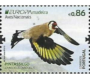 European Goldfinch (Carduelis carduelis) - Portugal / Madeira 2019 - 0.86
