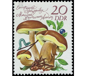 European mushrooms  - Germany / German Democratic Republic 1980 - 20 Pfennig