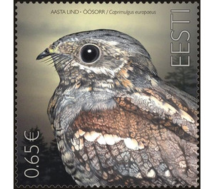 European Nightjar (Caprimulgus europaeus) - Estonia 2019 - 0.65