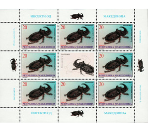 European Rhinoceros Beetle (Oryctes nasicornis) - Macedonia / North Macedonia 1998