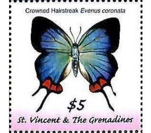 Evenus coronata - Caribbean / Saint Vincent and The Grenadines 2019 - 5