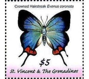Evenus coronata - Caribbean / Saint Vincent and The Grenadines 2019 - 5