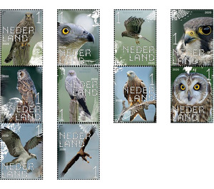 Experience Nature: Birds of Prey (2020) - Netherlands 2020 Set