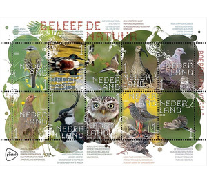 Experience Nature : Farmland Birds - Netherlands 2020