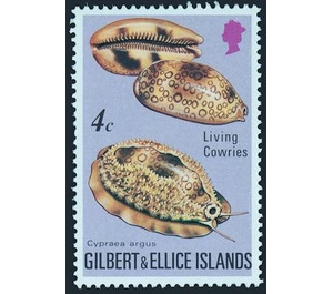 Eyed Cowry (Cypraea argus) - Micronesia / Gilbert and Ellice Islands 1975 - 4
