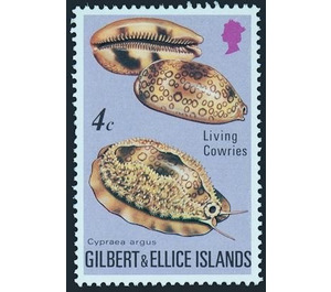 Eyed Cowry (Cypraea argus) - Micronesia / Gilbert and Ellice Islands 1975 - 4