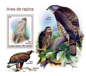 Falco rustcolus - Central Africa / Sao Tome and Principe 2021