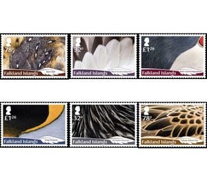 Falkland Island Bird Feathers (2019) - South America / Falkland Islands 2019 Set