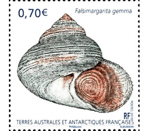Falsimargarita gemma - French Australian and Antarctic Territories 2019