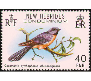 Fan-tailed Cuckoo (Cacomantis flabelliformis) - Melanesia / New Hebrides 1980 - 40