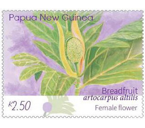 Female Breadfruit Flower - Melanesia / Papua and New Guinea / Papua New Guinea 2020 - 2.50