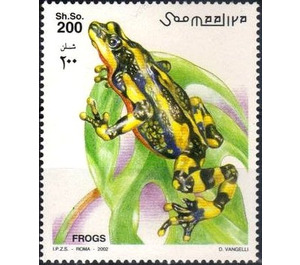 Fire-bellied Toad (Bombina bombina) - East Africa / Somalia 2002 - 200