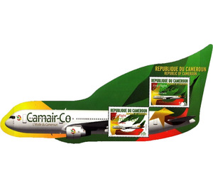 First Flight Camair-Co - Central Africa / Cameroon 2011