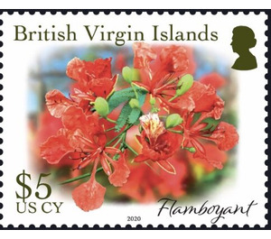 Flamboyant - Caribbean / British Virgin Islands 2019 - 5