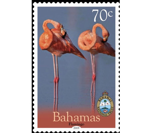 Flamingo - Caribbean / Bahamas 2019 - 70