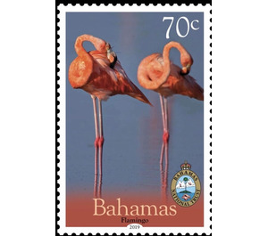 Flamingo - Caribbean / Bahamas 2019 - 70