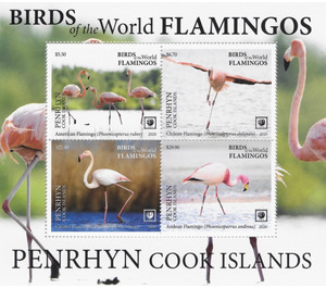 Flamingos - Polynesia / Penrhyn 2020