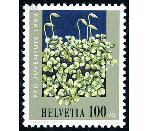 flora  - Switzerland 1993 - 100 Rappen