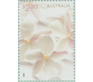 Flower Blossoms - Australia 2021 - 2.20