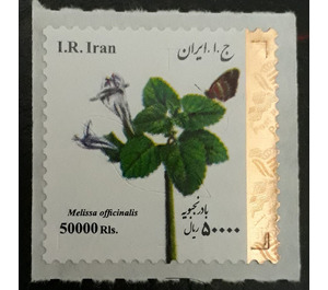 Flowers of Iran - Iran 2018