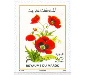 Flowers of Morocco - Morocco 2020 - 3.75