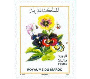 Flowers of Morocco - Morocco 2020 - 3.75