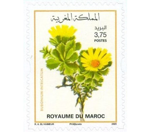 Flowers of Morocco - Morocco 2020 - 3.75