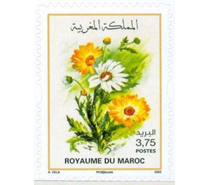 Flowers of Morocco - Morocco 2020 - 3.75