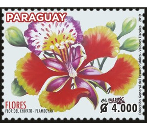 Flowers of Paraguay - South America / Paraguay 2019