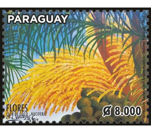 Flowers of Paraguay - South America / Paraguay 2019